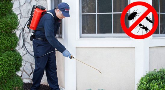 Yalova Tahtakurusu İlaçlama böcek ilaçlama ve haşere kontrolü — ilaclama-tr.com